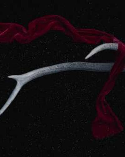 Japanese zen garden in autumn