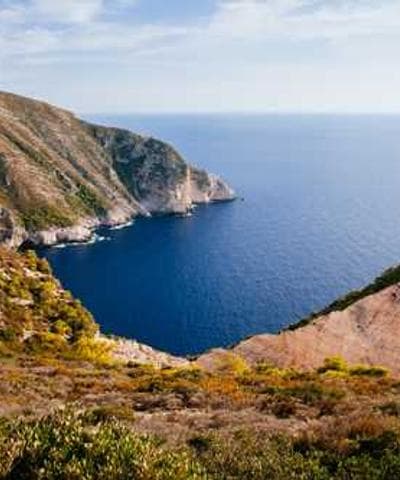 Steampunk mechanical owl with gears