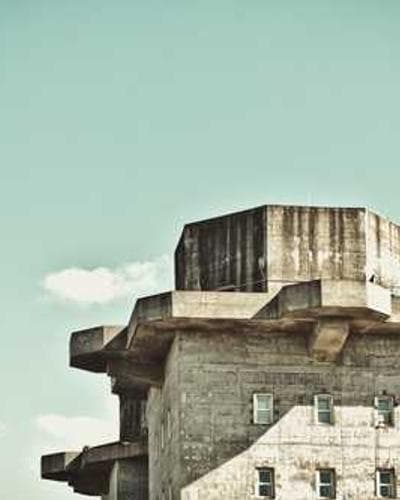 Magical forest with bioluminescent plants