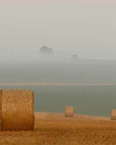 Luxury perfume product photography